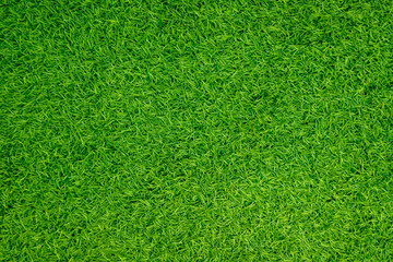 Green artificial grass natural