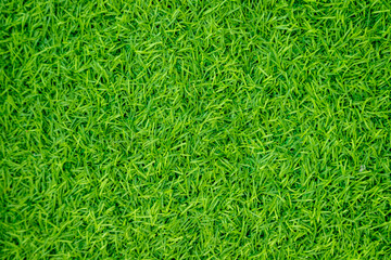 Green artificial grass natural