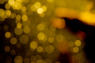 Gold abstract bokeh background