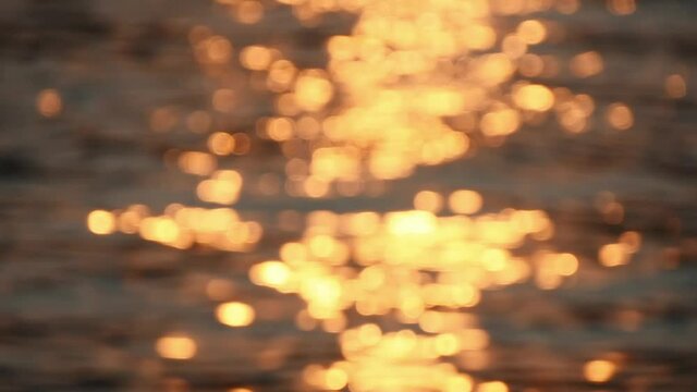 Golden water surface at sunset, rack focus