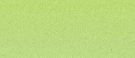 Fototapeta na wymiar green paper background