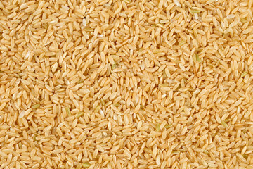 Close up, top down view of raw, whole grain, brown rice.