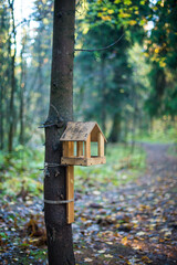 wooden bird house on the tree 