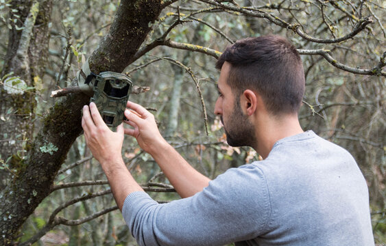 A forester installs a photographic camera trap with infrared radiation and a motion detector in a tree, they photograph animals in the Mediterranean forest.