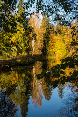 autumn trees reflected in water