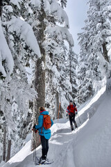 Two women snowshoeing in winter forest. Whistler. British Columbia. Canada 