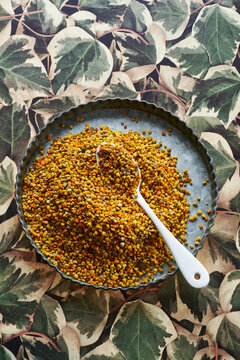 bee pollen