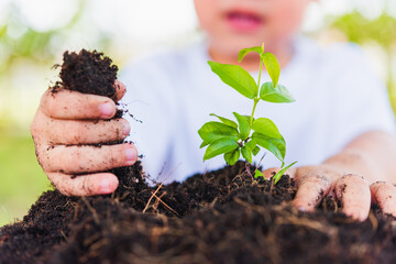 World Environment Day Environment and Save World Concept, Hand of Asian cute cheerful little child boy planting young tree on black soil on green garden background