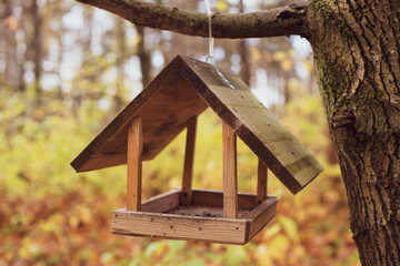 wooden bird house on the tree 
