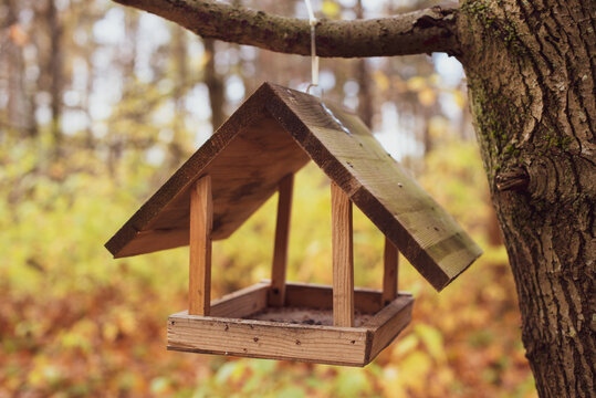 wooden bird house on the tree 