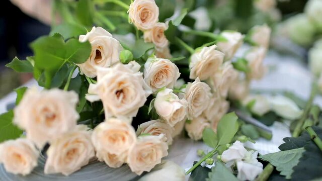 A bouquet of beautiful white roses is on the florist's table. One rose is put in a bouquet. The girl makes a bouquet of roses for a gift.