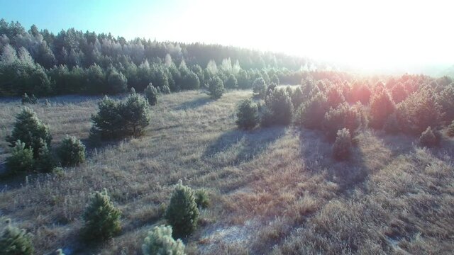 Flying over a fairytale romantic frozen forest background. Beautiful sunrise frost and snow on the grass and branches. Aerial right forward camera moving.