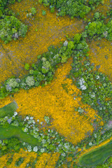 Campiña, Springtime, Villasante de Montija, Merindad de Montija, Las Merindades, Burgos, Castilla y Leon, Spain, Europe