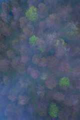 Fototapeta na wymiar Beech and Pine Scots forest, Springtime, Agüera de Montija, Merindad de Montija, Las Merindades, Burgos, Castilla y Leon, Spain, Europe