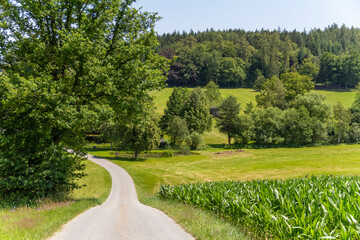 Bavarian Forest scenery