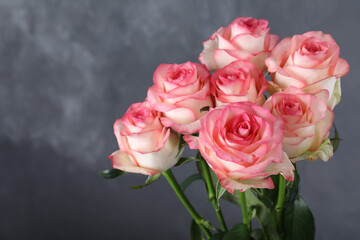 Bouquet of beautiful pink roses on grey background, closeup