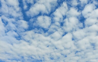 Fototapeta premium Blue sky white clouds soft beautiful