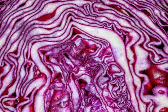 Red cabbage
