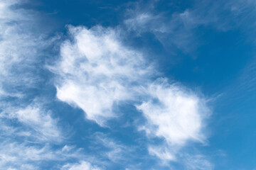 Fototapeta premium White feathery fluffy clouds on a blue sky, background and texture