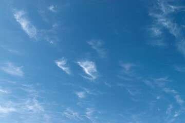 White feathery fluffy clouds on a blue sky, background and texture