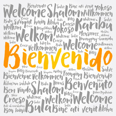 Bienvenido (Welcome in Spanish) word cloud in different languages, conceptual background