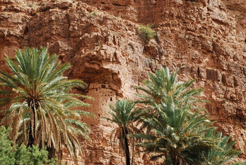 Les gorges d&rsquo;A&iuml;t Mansour - TAFRAOUTE MAROC