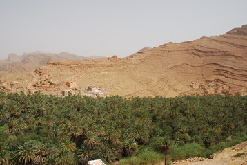 Les gorges d&rsquo;A&iuml;t Mansour - TAFRAOUTE MAROC