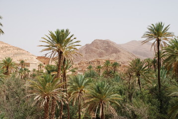 Les gorges d&rsquo;A&iuml;t Mansour - TAFRAOUTE MAROC