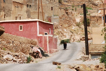 Femme portant du foin village  r&eacute;gion de TAFRAOUTE - Anti-Atlas MAROC