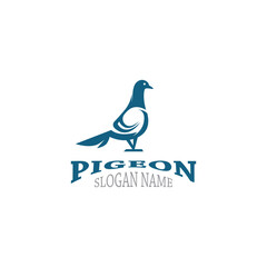 Pigeon logo simple modern bird vector flat black color illustration design template icon
