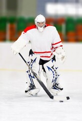 Fototapeta premium Hockey Goalie During a Game