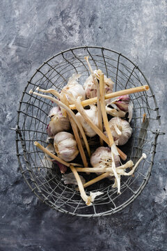 Garlic bulbs in a wire basket