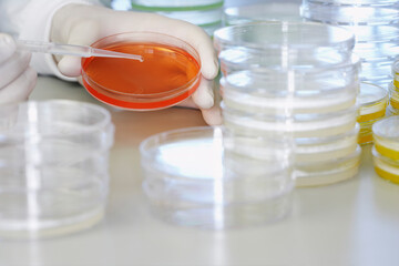 Scientist Adding Drops To Petri Dish