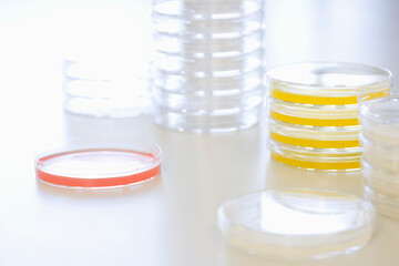 Petri Dishes On Table