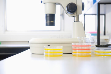 Microscope And Petri Dishes In Laboratory