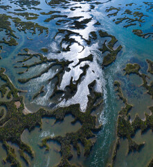 Tidal Marsh, Tidal Wetland (MARISMA), Low Tide, Marismas de Santoña, Victoria y Joyel Natural Park, Cantabria, Spain, Europe