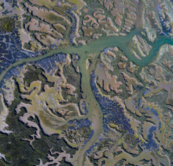 Tidal Marsh, Tidal Wetland (MARISMA), Low Tide, Marismas de Santoña, Victoria y Joyel Natural Park, Cantabria, Spain, Europe