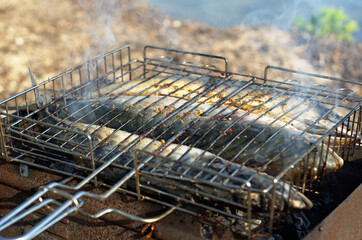 grilled fish on the grill near the river