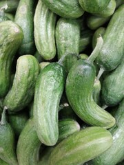 cucumbers in the market