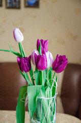 pink tulips in a vase