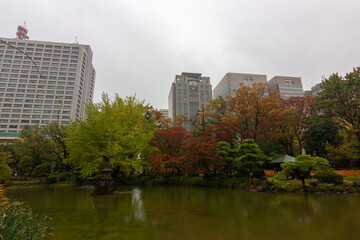Fototapeta na wymiar Views from Hibiya park in Tokyo (Japan)