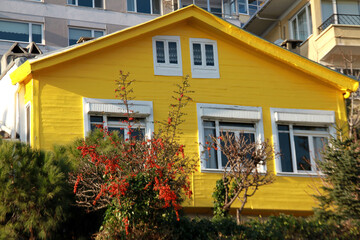 Fototapeta na wymiar yellow house