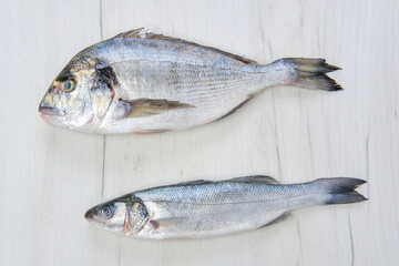 Dorada and seabass fish on white wooden table