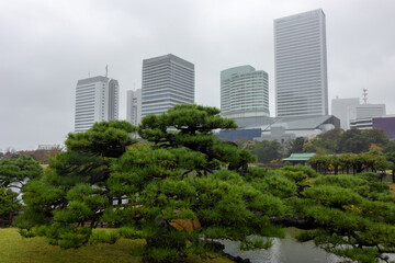 Famous gardens in Tokyo bay (Japan)