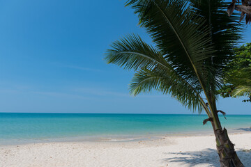 Plakat beach and sea, Holiday and vacation, nice tropical beach with palms, White clouds with blue sky 