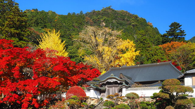 大窪寺の紅葉16