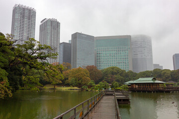 Obraz na płótnie Canvas Famous gardens in Tokyo bay (Japan)