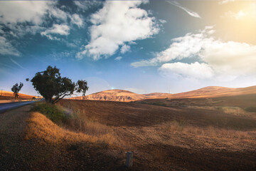 Fototapeta premium landscape for a beautiful Sunrise in tlemcen algeria Sunrise with clouds and trees