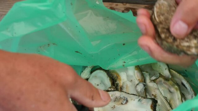 Close up of a man opening oyster shell with knife