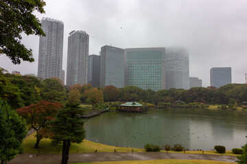 Fototapeta premium Famous gardens in Tokyo bay (Japan)